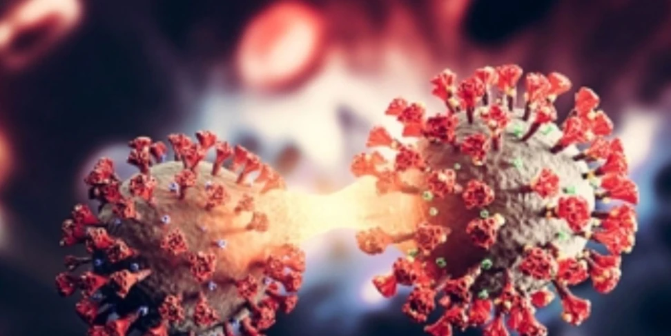 করোনায় আরও ২ জনের মৃত্যু, শনাক্ত ৭