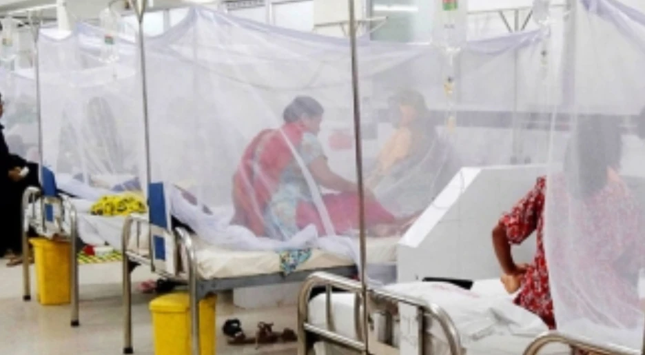 ডেঙ্গুতে একদিনে ৪২০ জন আক্রান্ত,  মৃত্যু ১